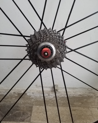 Shimano Dura Ace 7900 pignoni