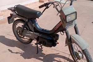 califfone Rizzato 