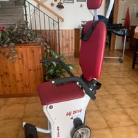 Montascale per disabili