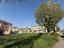 Immagine 11