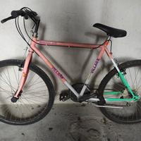 Mountain bike vintage 