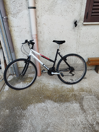 Informazioni contattatemi 3516788064