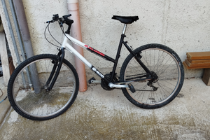 Informazioni contattatemi 3516788064