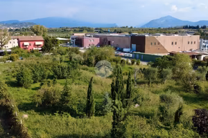 TER. AGRICOLO A BARDOLINO