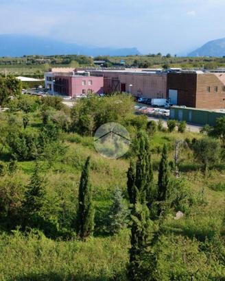 TER. AGRICOLO A BARDOLINO