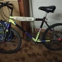 Mountain bike da Uomo 26"