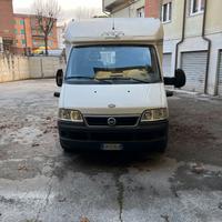 Camper arca america 4.45