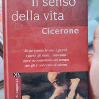 Il senso della vita 