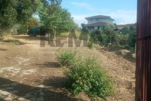 Terreno Edificabile - Ollastra