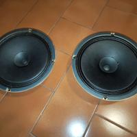 Woofer full range da 20 cm