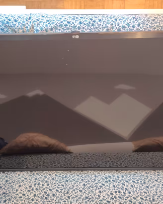 LG TV