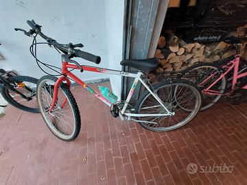 mountain bike marca Olmo 