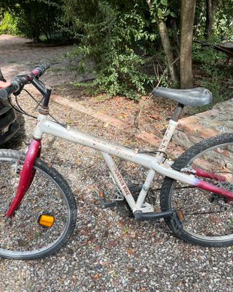 BICICLETTA GRATIS