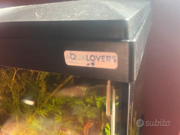 Acquario 60 litri
