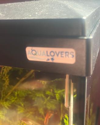 Acquario 60 litri,+supporto su misura