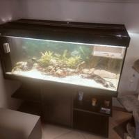 Acquario completo