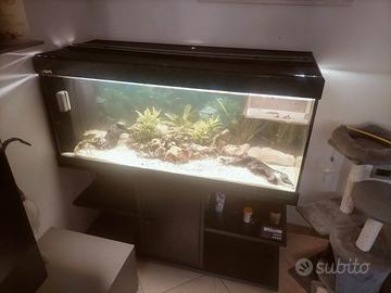 Acquario completo