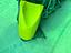 Immagine 12