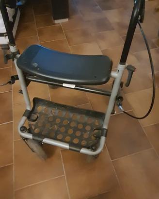 deambulatore da passeggio