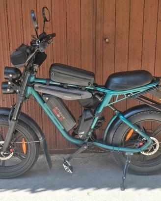 Bicicletta elettrica 
