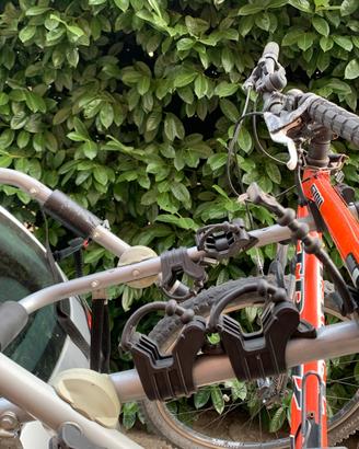Portabici