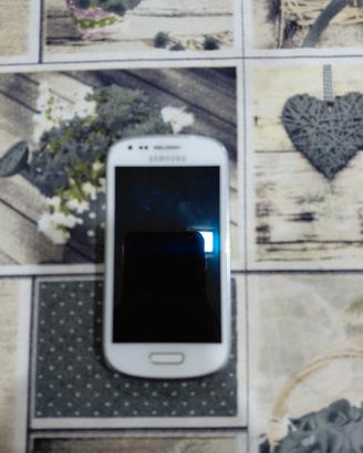 Samsung Galaxy S3 mini