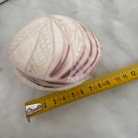 Conchiglia decorativa