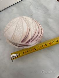 Conchiglia decorativa