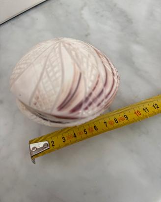 Conchiglia decorativa
