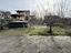 Immagine 23