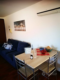 Bilocale con posto auto in centro per inverno