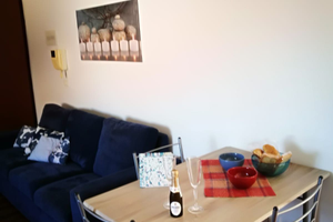 Bilocale con posto auto in centro per inverno