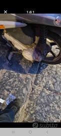 motore liberty 50 cc-4t