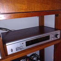 Tuner Sintonizzatore Telemaster
