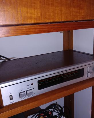 Tuner Sintonizzatore Telemaster