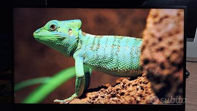 Monitor portatile 144 HZ 16 Pollici Gaming e Foto