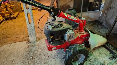 tagliaerba seminuovo