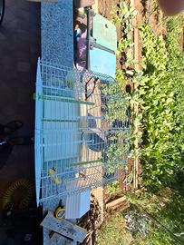 gabbietta per uccelli 