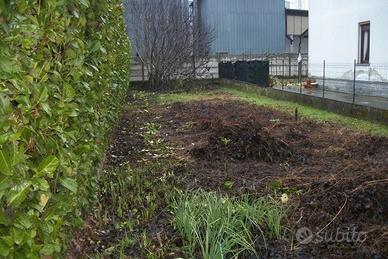 RGE 156/2021 Trib Pavia - LOTTO 2