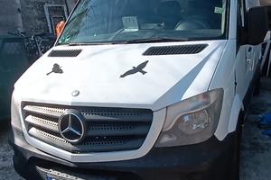 Mercedes sprinter lungo 
