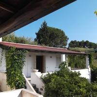 FALL 3/2014 Trib Barcellona PG - LOTTO 18