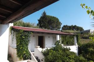 FALL 3/2014 Trib Barcellona PG - LOTTO 18