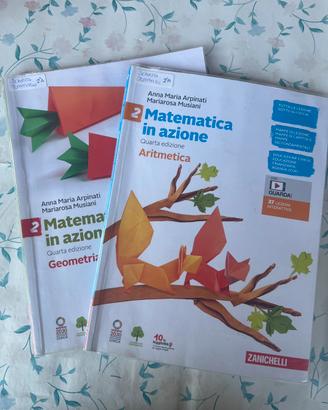 Libri scuola - 2a media - matematica geometria