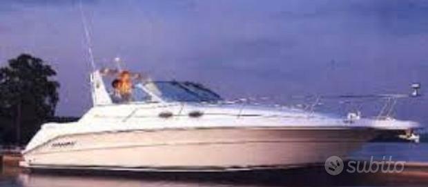 Searay 300