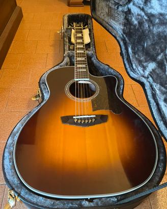 Chitarra Acustica PROFESSIONAL D’ANGELICO EXCEL G