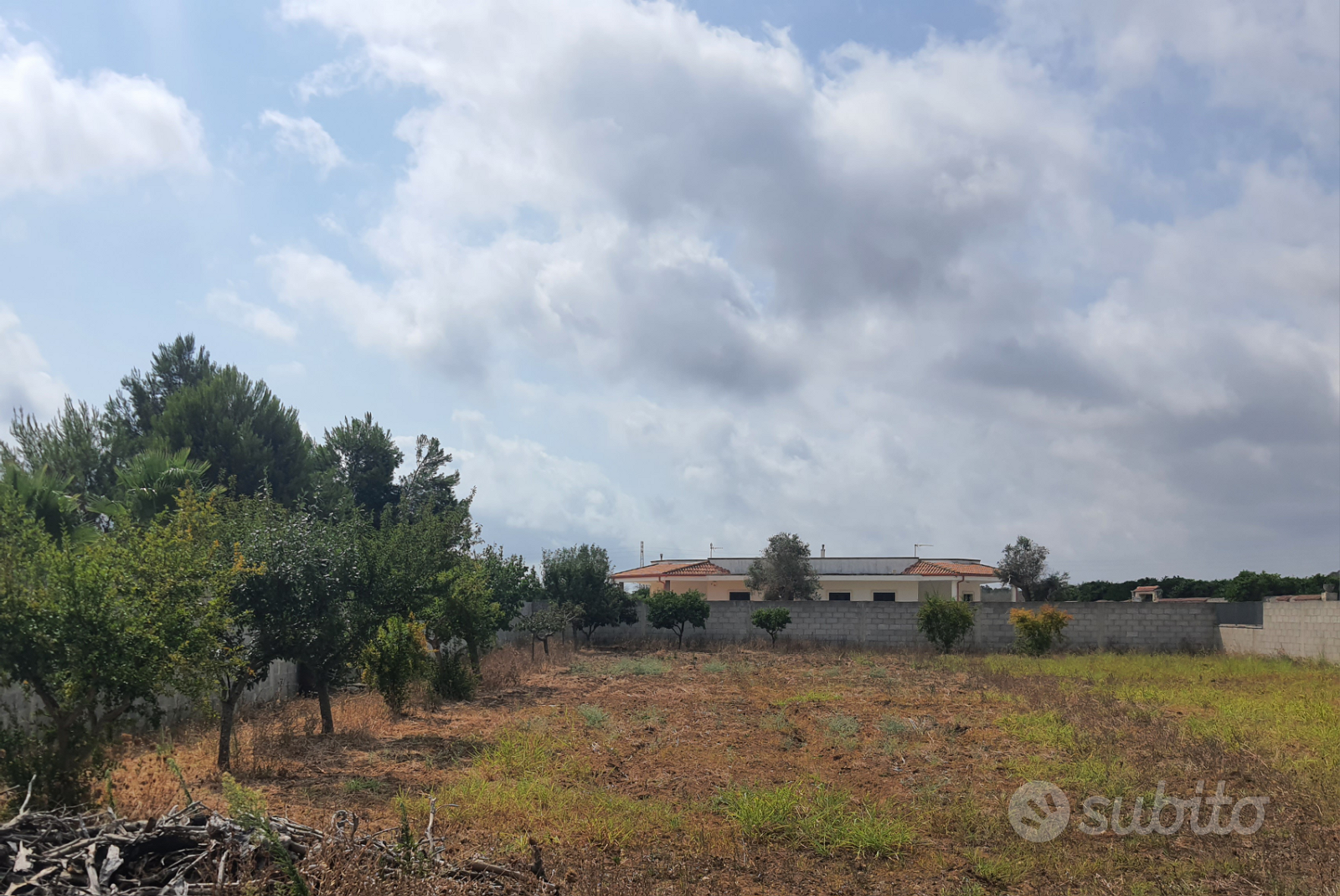 Terreno recintato con alberi da frutto - Altro