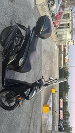 SH 350 2024 TOTAL BLACK