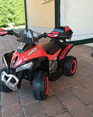 mini quad