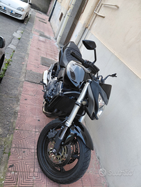 Honda hornet 600