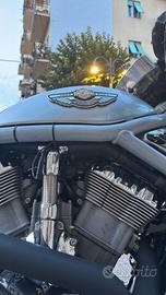 Harley Davidson vrod 2003